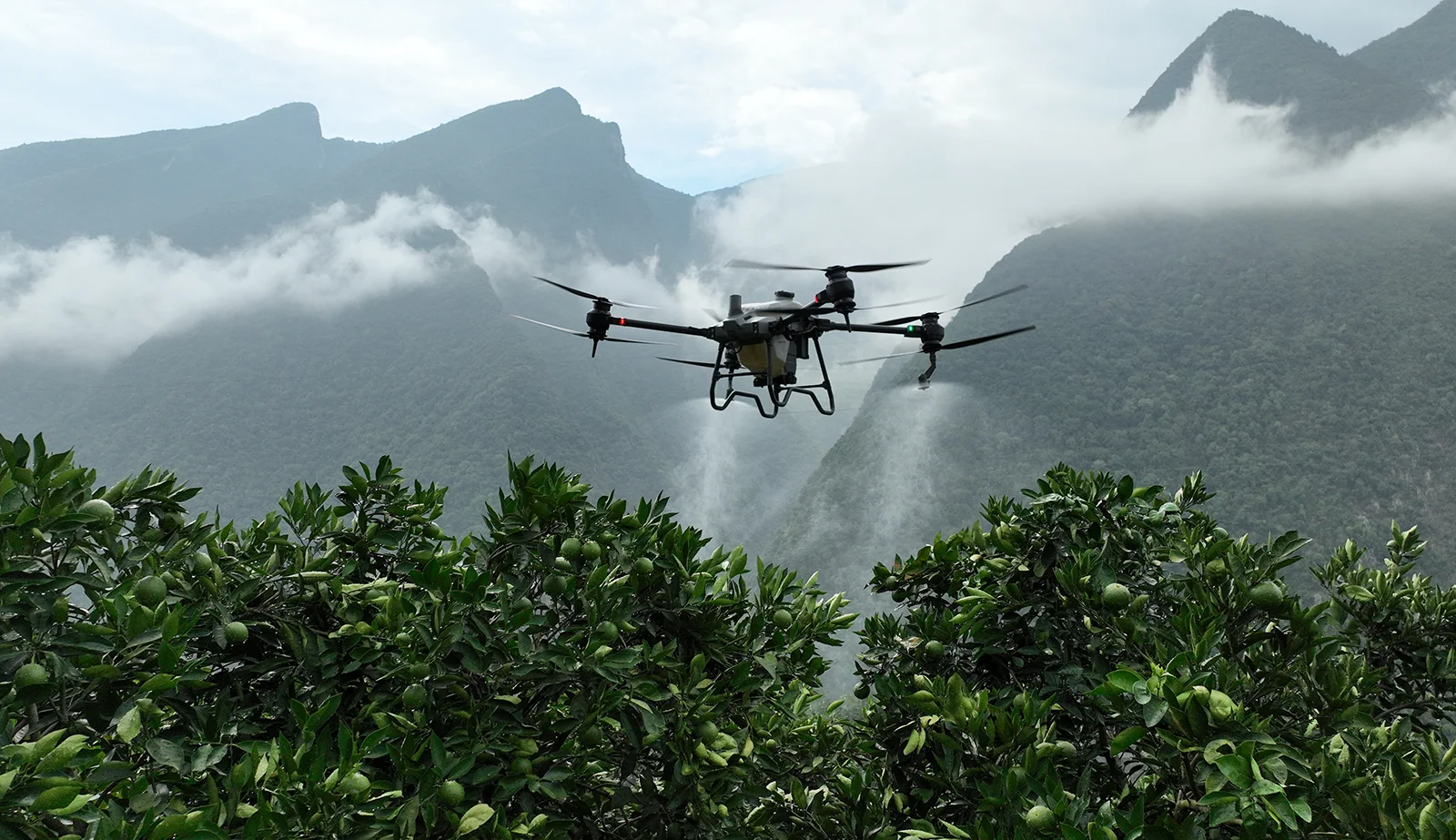 Eskişehir tarım alanında drone ile görüntüleme